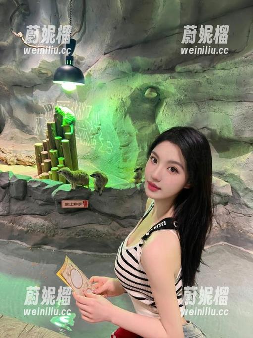 传送门已开启，欢迎来到www.51.com的奇幻冒险世界！