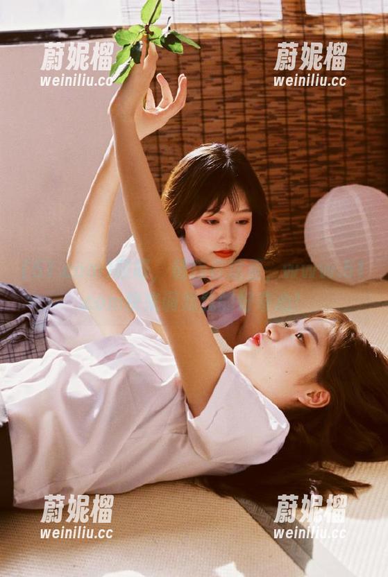 51.com 哎呀,链接在这里,www.51.com快来调戏我的好奇心!