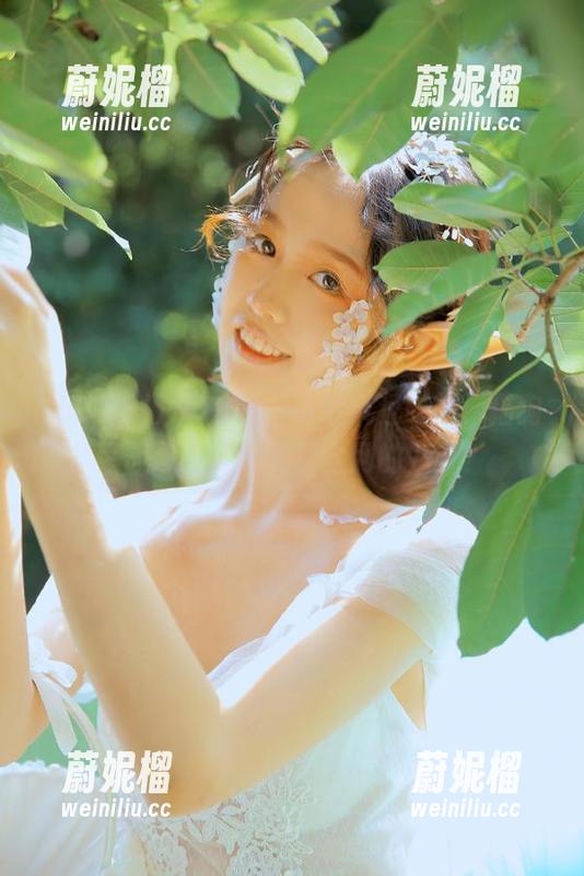 从58黑料直达疯狂时刻，猫狗大战怎么变成轰动全网的八卦？