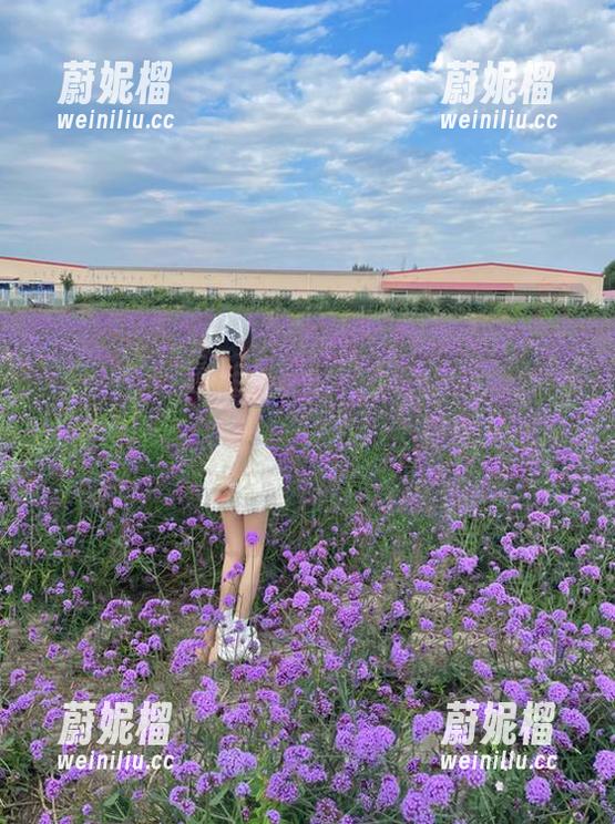 找到这个神奇的地址，你的免费版苹果就在“五一吃瓜”欢迎您来～