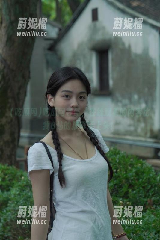 吃瓜网导航，在线观看的内容比我B站的推荐还上头！