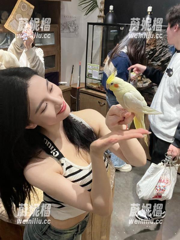 黑料不打烊，分享一份无奈，咋一眨眼就没了？